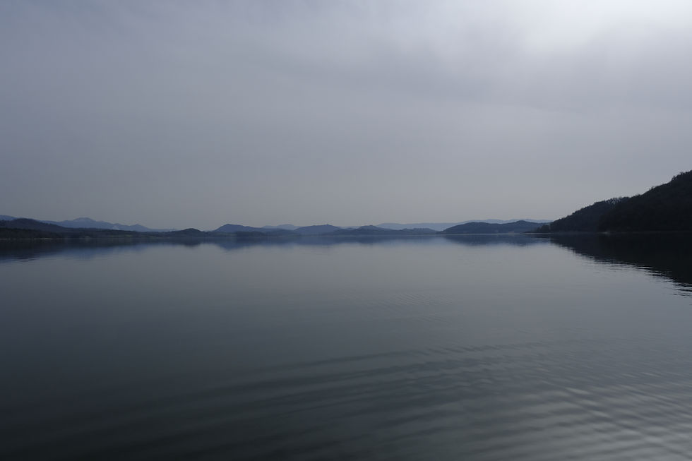 _DSF0268.JPG