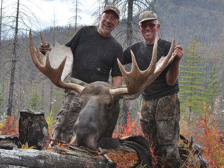 Moosehunting trophy in woods.jpg