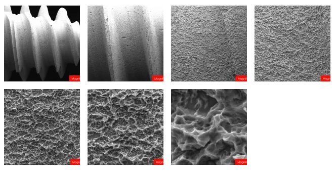 Grit blasted and acid etched surface topography