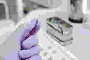 Palm trees during a hurricane