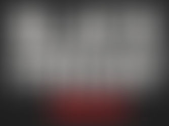 Black Friday Sale at Osseo Group