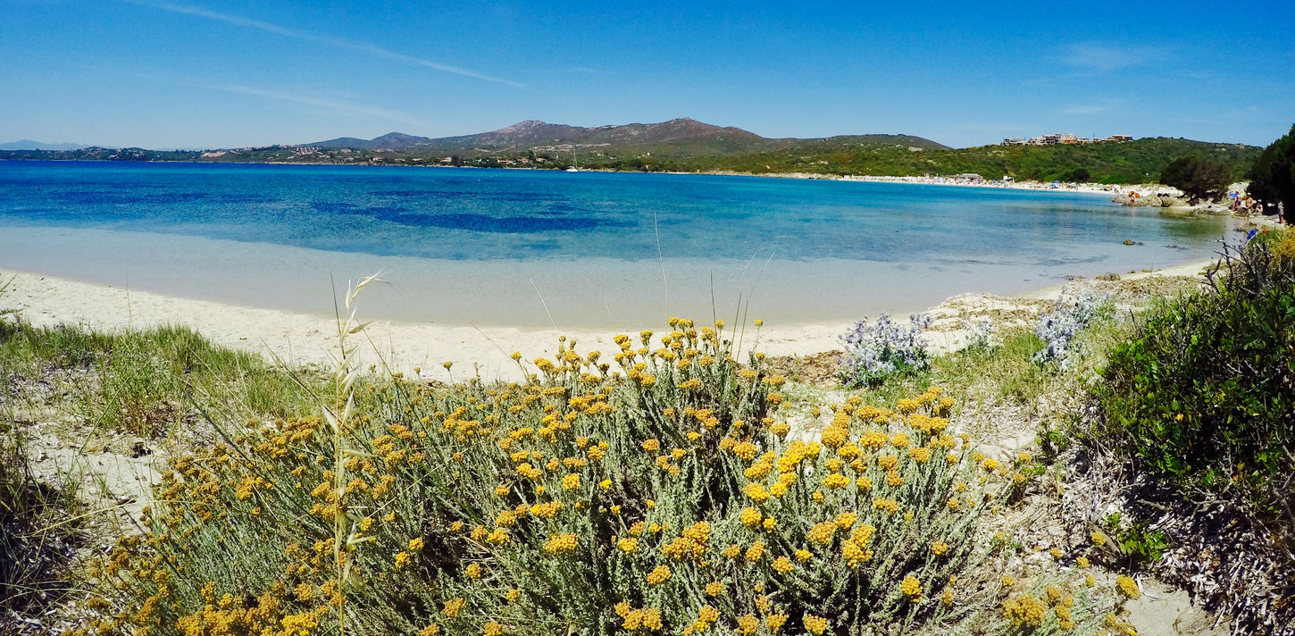 Spiaggia Bianca  Golfo Aranci Sardinien