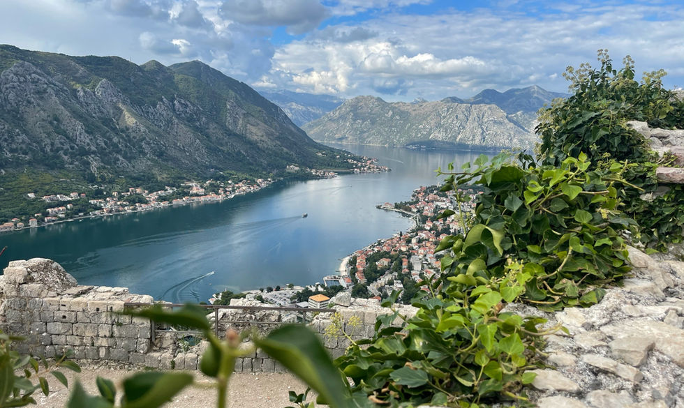 Kotor Bay - Elysium Premium Nature Retreats