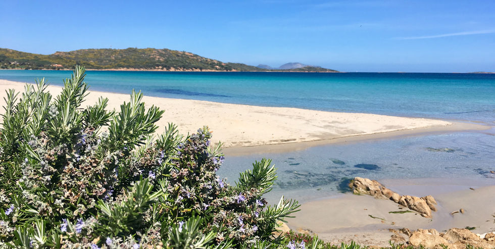 Porto Taverna mit blühendem Rosmarinstrauch- Elysium Premium Nature Retreats