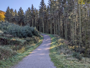 Active against Cancer