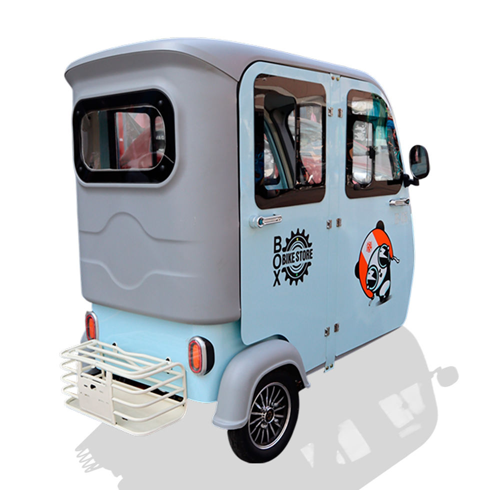 Miniatura: Trimoto electrica B-05 con techo