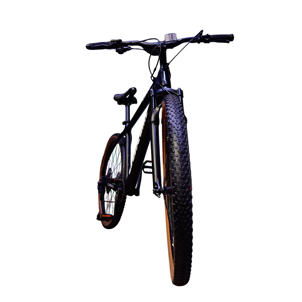 Miniatura: BLACK FOX - X20 MTB FIBRA DE CARBONO
