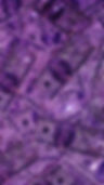 1FD6453D-91F0-4E7A-9458-54FE2D8CBC39.jpeg