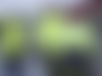 Offshore wind farm environmental impact assessment survey project management