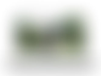 성폭력예방 보고서