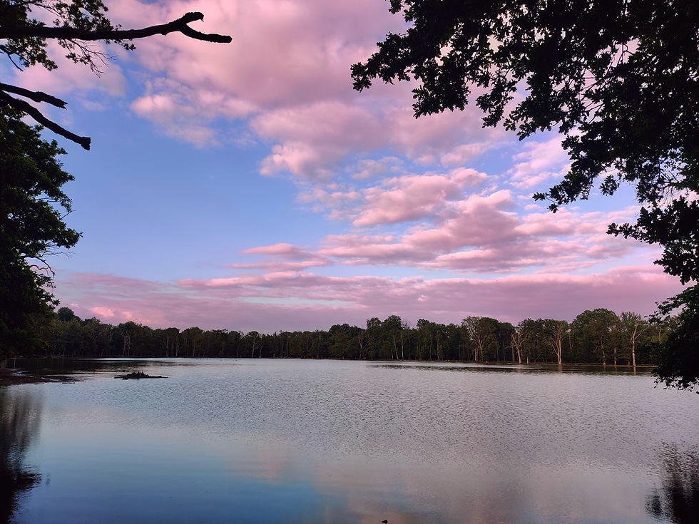 IMG_20230701_202332~2