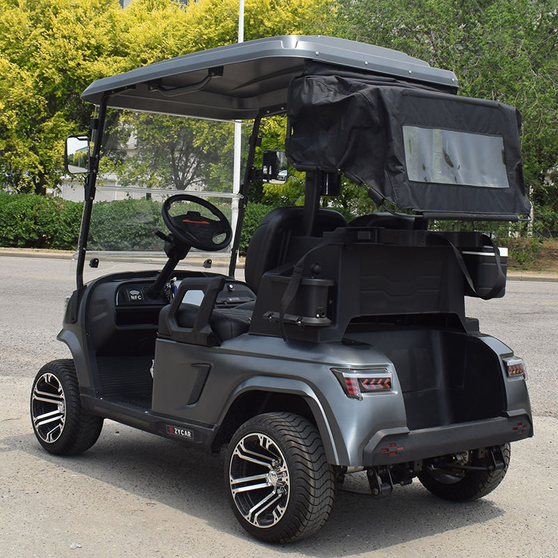 Thumbnail: 2 Seater Golf Cart: E2