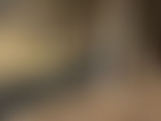 2月22日 大亀山森林ボランティア活動🌲