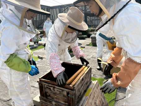 丸森町からセイヨウミツバチがやってきました🐝(4/17)
