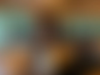 9月 森の音楽会を開催しました🎶