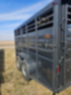 Thumbnail: Calico BP 16' Stock