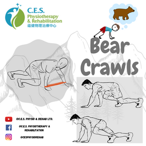 Bear Crawls