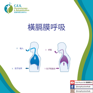 橫膈膜呼吸