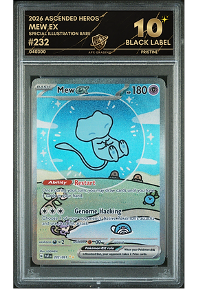 Untitled design (3).png