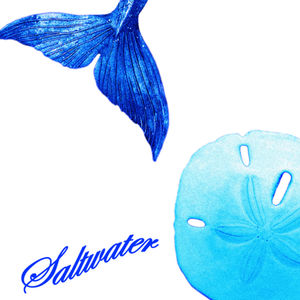 Saltwater cover