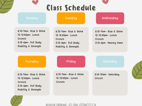 Upcoming Class Schedule