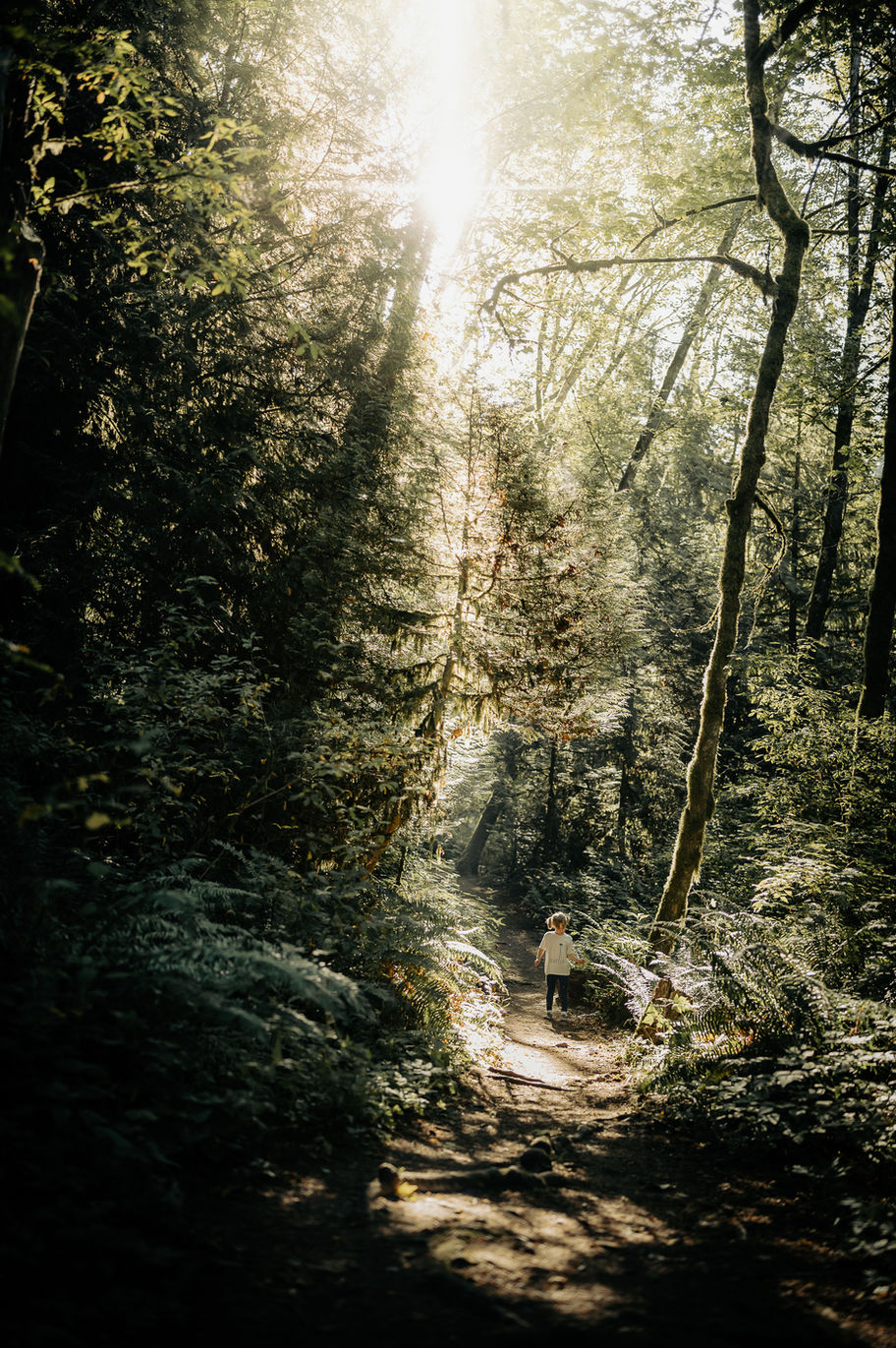 Among the Tall Trees-3.jpg