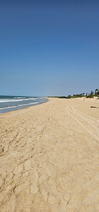 Plage déserte de Kafountine