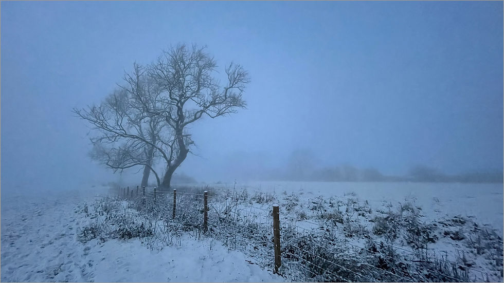 January '26 at the Club