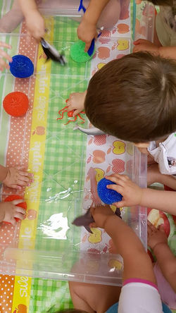 13423722_1722770054637610_7921714408507177842_n