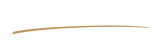 ChatGPT Image Sep 29, 2026, 04_53_04 PM.png