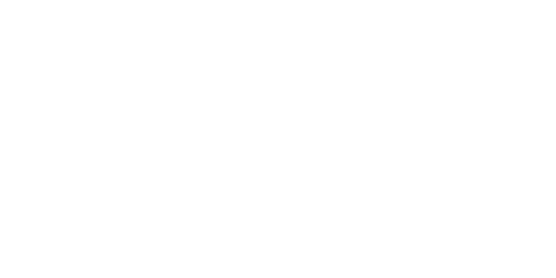 Social media Original Farben (500 x 200 px) (200 x 100 px) (4).png