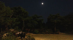 마당 야경