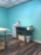 Cat Room - Grooming Table