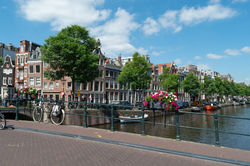 Amsterdam in Bloom