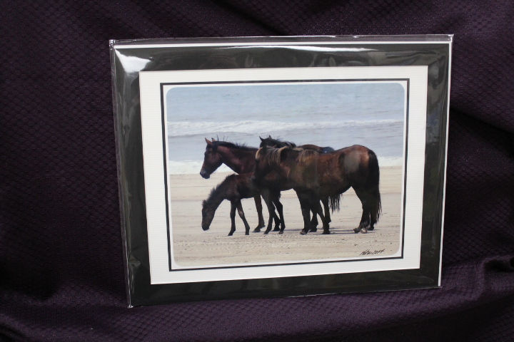 Thumbnail: By Local Photographer Kathy Kuhn of Florence KY