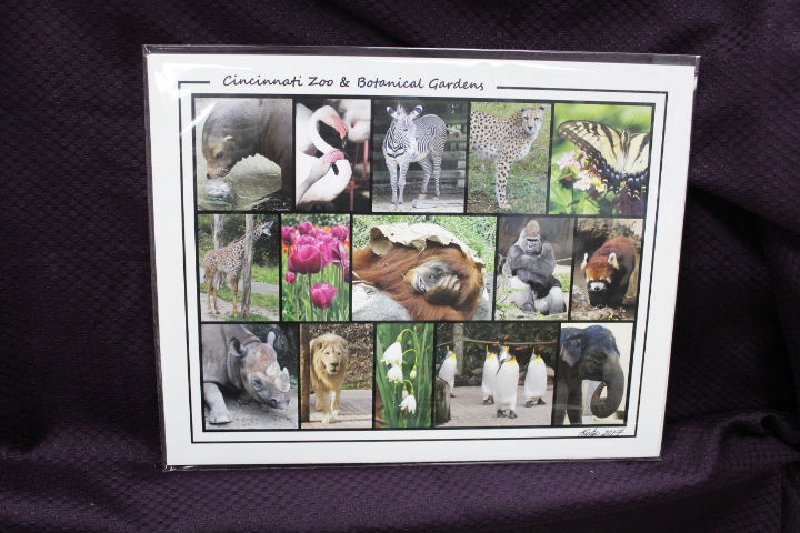 Thumbnail: By Local Photographer Kathy Kuhn of Florence KY