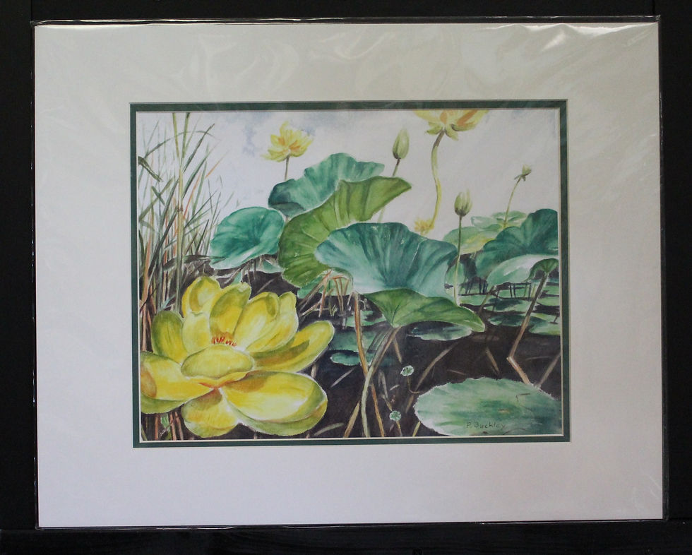 Thumbnail: By Local Artist Patricia Buckley Of Florence Ky