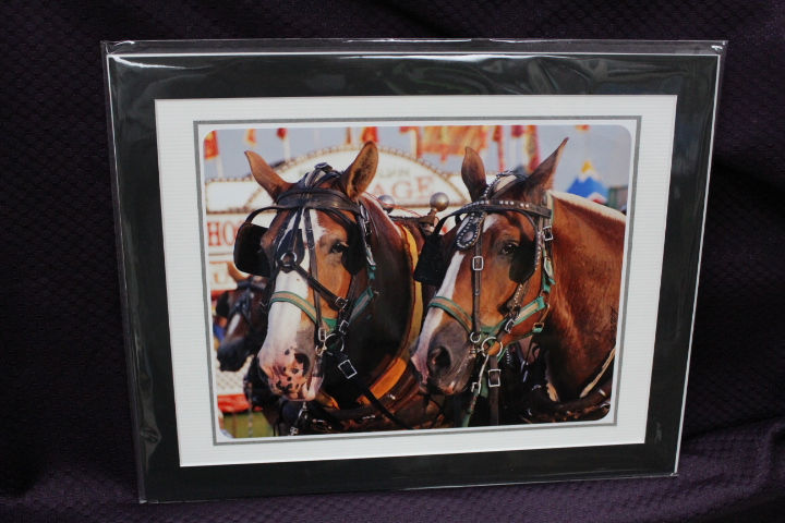 Thumbnail: By Local Photographer Kathy Kuhn of Florence KY