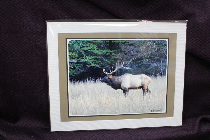 Thumbnail: By Local Photographer Kathy Kuhn of Florence KY