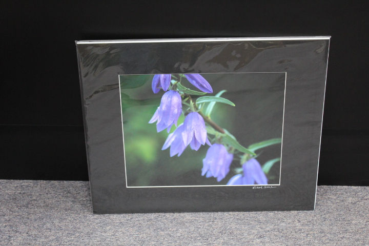 Thumbnail: By Local Photographer  Mike Svach  of Union KY