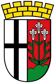 Coat of Arms for the city of Fulda, Germany with a shield that is a black cross on white border on left half, and 3 white eidelweiss flowers on a red border on the right, topped with a crown of stone.  Autobiography of Dr. Anthony J. Carbone