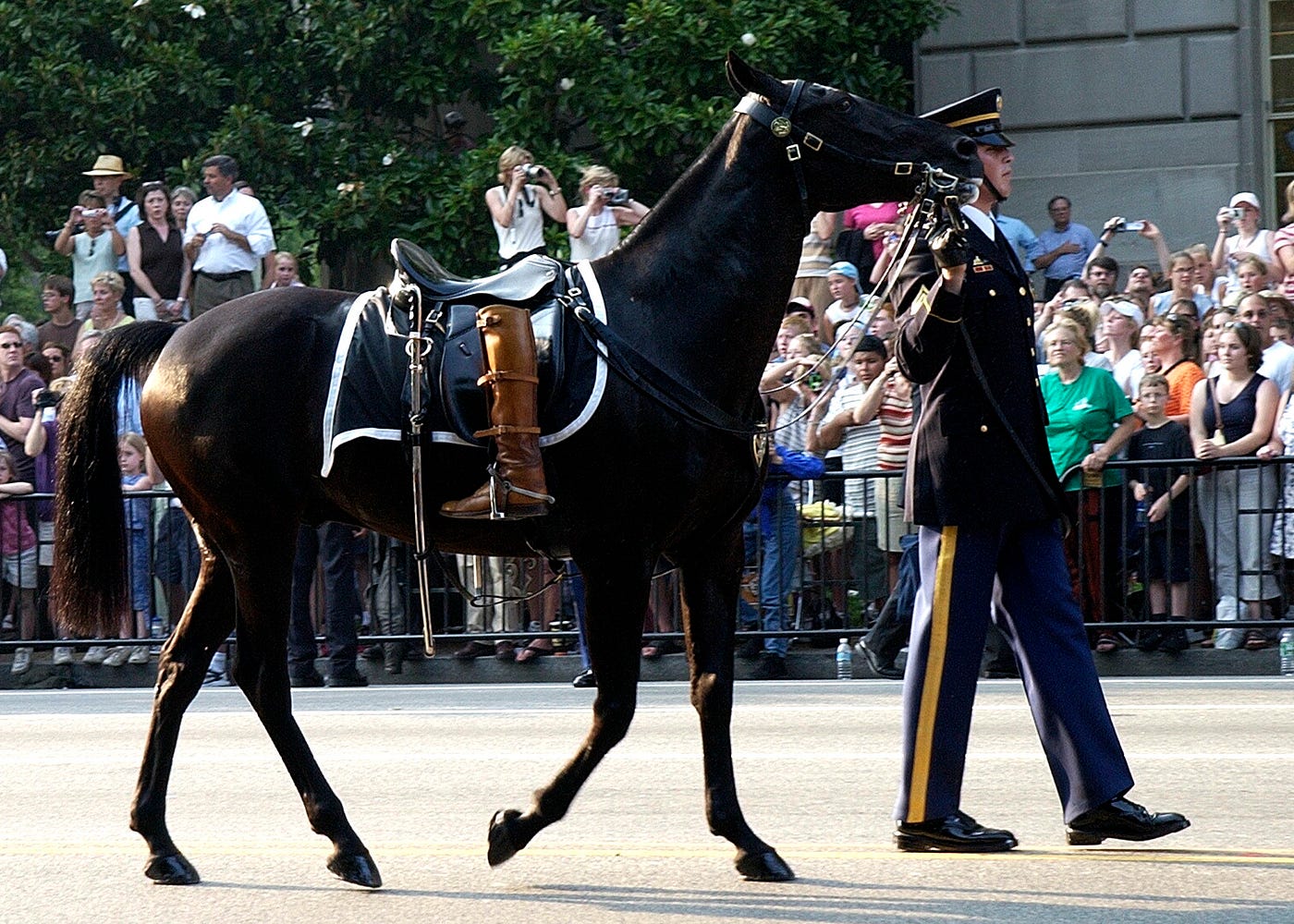 The Riderless Horse "Black Jack" led by a member of The Old Guard of the 3rd Infantry Division, during the funeral procession for the late President John F. Kennedy on November 25, 1963.Dr. Carbone’s Autobiography: A Son in the Shadow of a Green Beret Hero