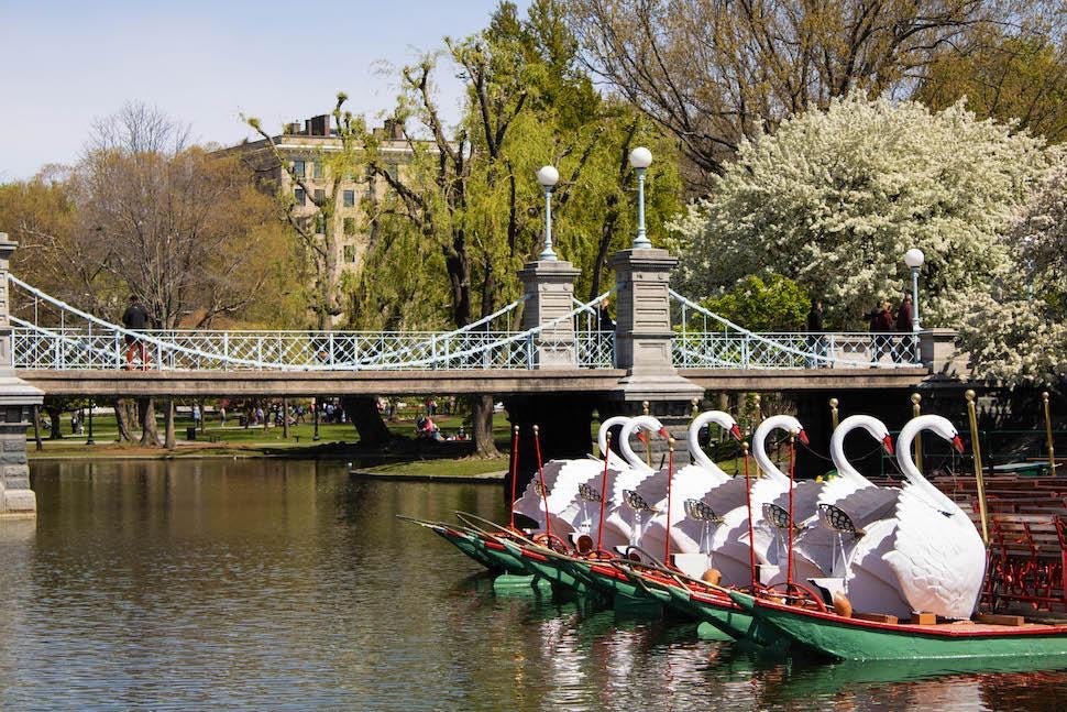 Photograph of the Boston Public Garden with bridge and swan boats.  Autobiography of Dr. Anthony J. Carbone.
