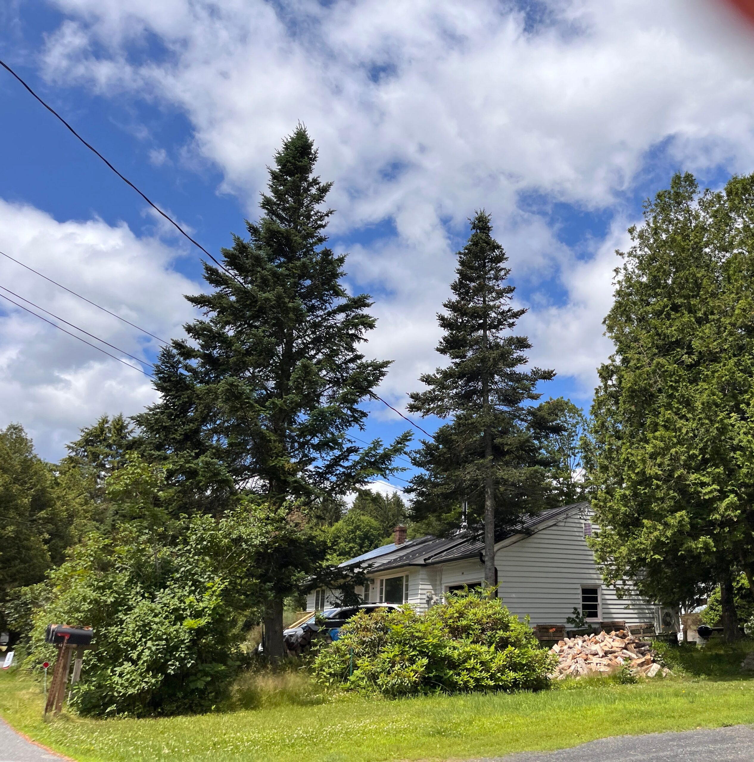 Our home on Terrace Place in Northfield, Vermont where we lived while my father was working at Norwich University (his alma mater) as the Assistant Professor of Military Science (PMS).Part of the autobiography of Dr. Anthony J. Carbone, Son in the Shadow of a Green Beret Hero.