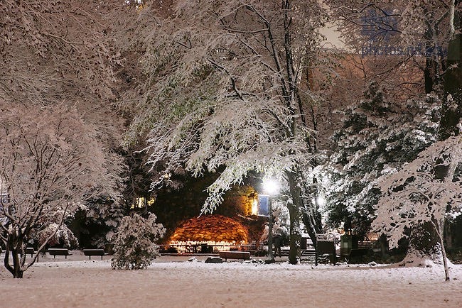 The Grotto at night in winter. University of Notre Dame. Dr. Carbone’s autobiography.