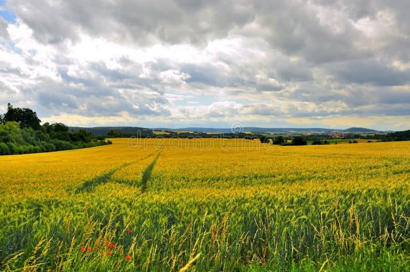 All of Bavaria at the time (1960s) was gorgeous farmlands with incredible smells of nature. This is a view of the farmland in Fulda, West Germany.