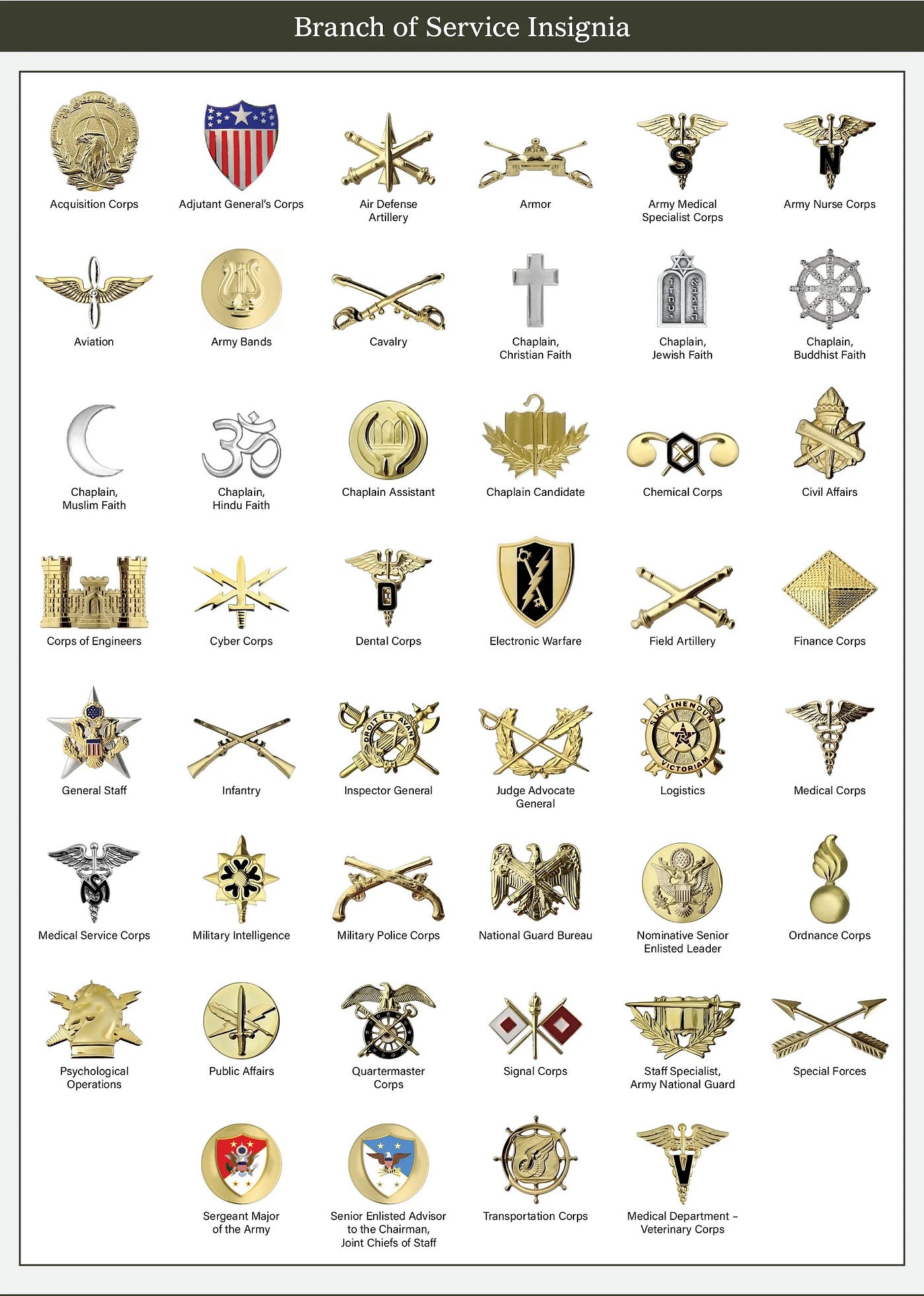 Chart of U.S. Army Branch Insignia.  Biography of Dr. Anthony J. Carbone.