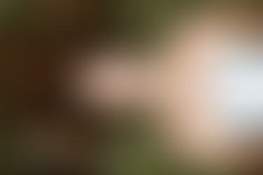 Wake up from your sleep