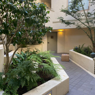Interior 6.jpeg