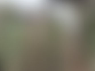 Əli Nağıyev Rüstəm Muradovla görüşdü - Foto